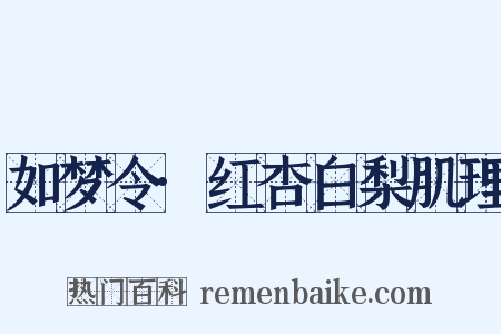 如梦令·红杏白梨肌理是什么意思的图片